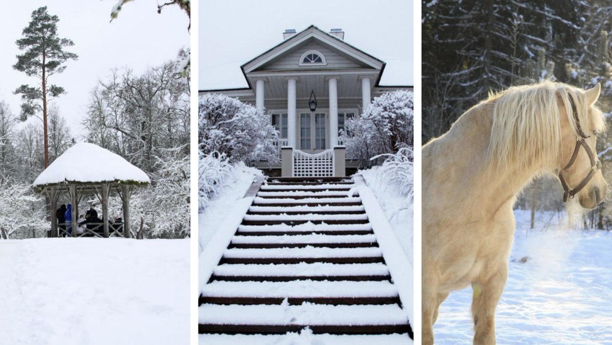 Russia 🇷🇺 tweet media