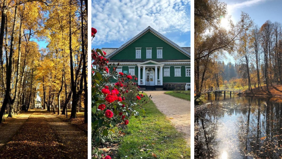 Russia 🇷🇺 tweet media