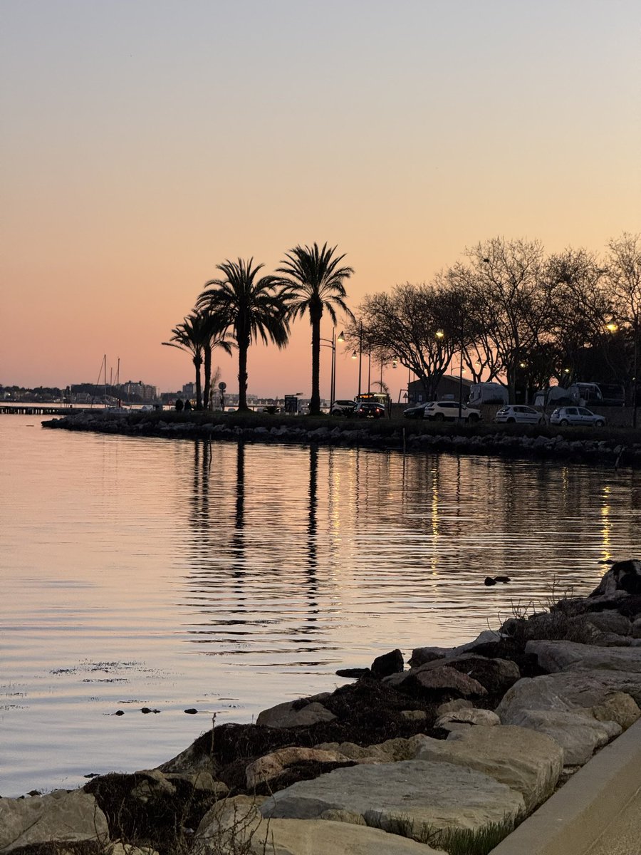 BigDaddyBarbu🧔🏻 tweet media