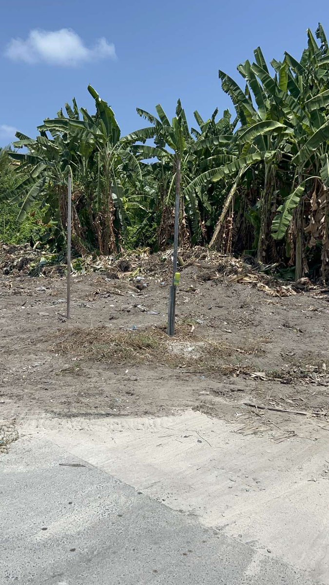 ރައްޔިތުންގެބާރު  ނިއުޅައިގަންނަށް  ޤާނޫނު  ތެރެއަށްއަތްބާނާ  ހުރިހާ  ބާރެއް  މަރުކަޒުކޮށް ލާމަރުޒީ  ނިޒާމު  މިވަނީ މުޅިންހެން  ގަޑުބަޑުކޮށްފައެވެ.  ރަށްރަށުގެ  އިޖްތިމާއީ  ހަމަޖެހުމަށް  ބޮޑެތި  ލޮޅުންއަރާފަދަ  ކަންކަން  ނިންމާއިރު  ރައްޔިތުންގާތުހޭވެސް  އަހާލަން  ނުޖެހޭ