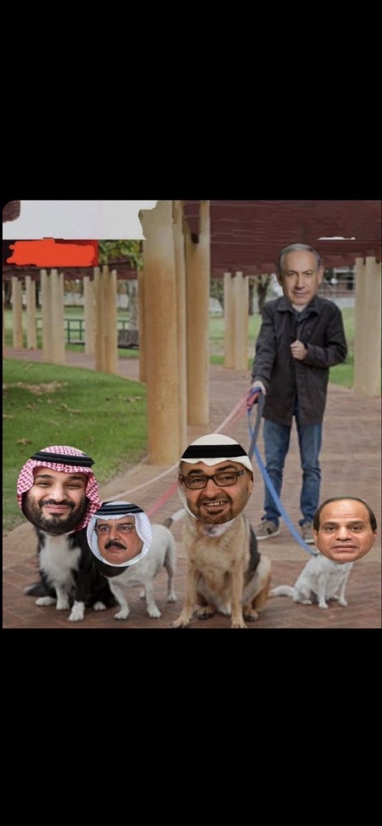 ضمير انساني تم شراءه بالمال tweet media