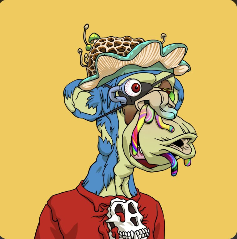 Dobbins 🍌 tweet media