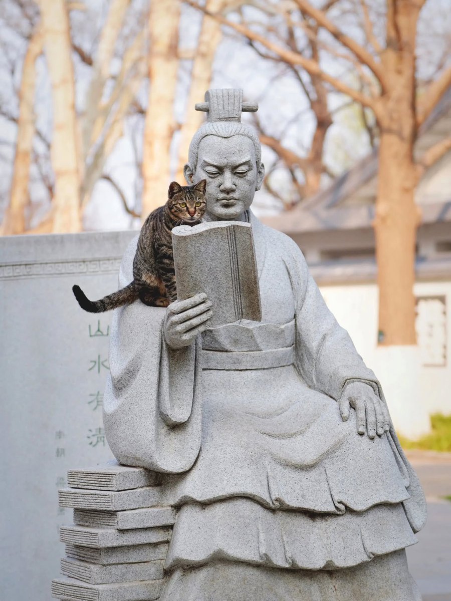 No Cats No Life tweet media