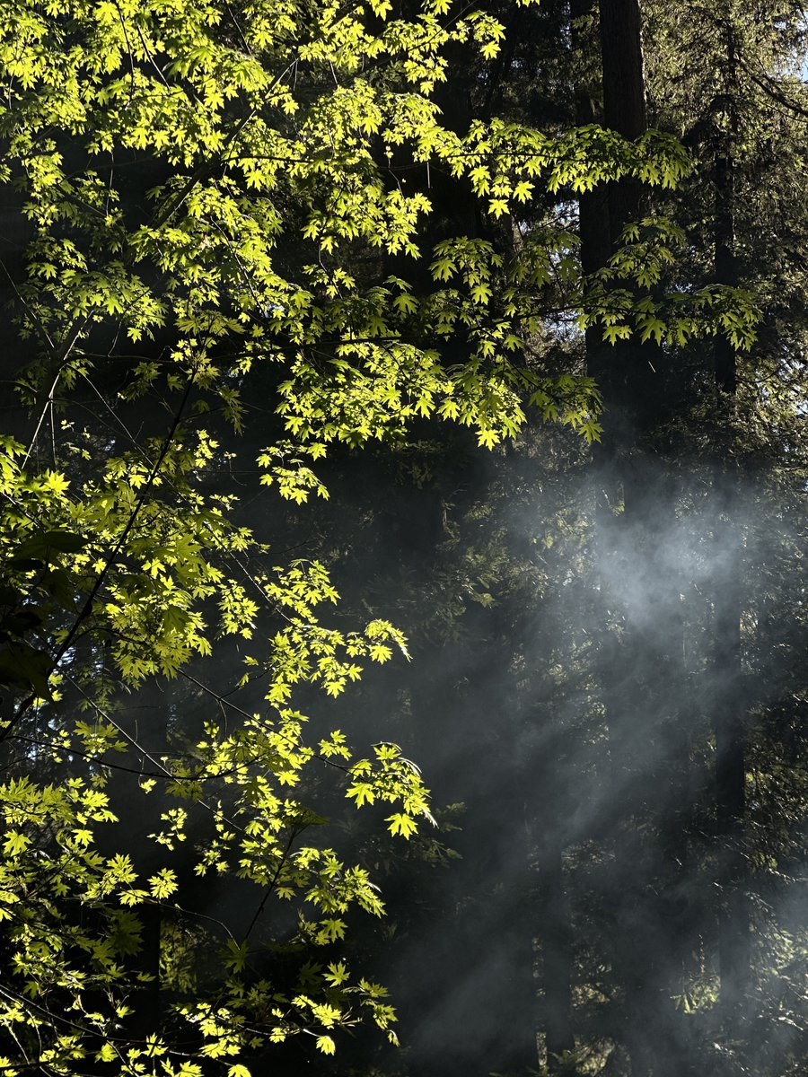 hrln (@fljczk) on Twitter photo 