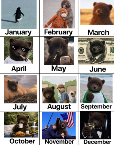 Pearl Community tweet media