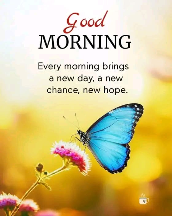 Good morning friends 🌅 have a nice day Wednesday 🙏.