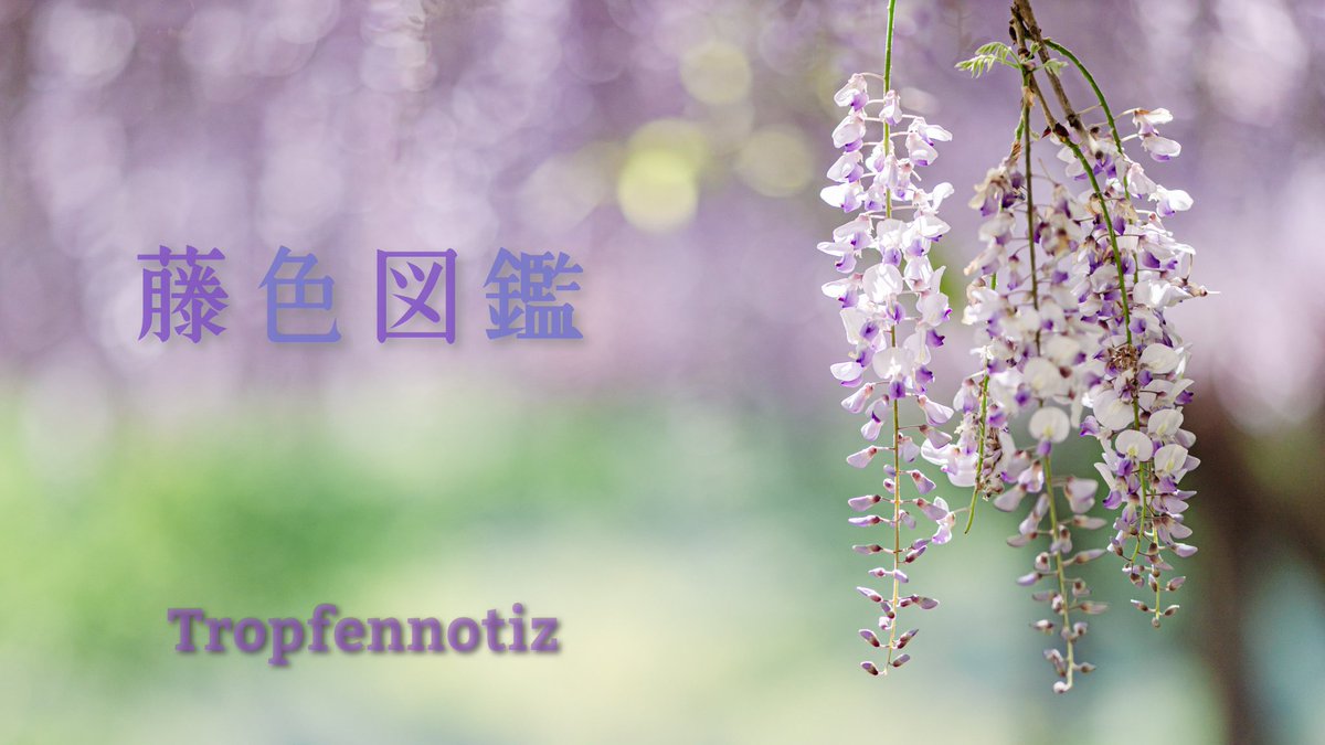 今日の一曲。季節にはまだ早いけど『藤色図鑑 / Tropfennotiz』youtu.be/z8ATdk6Mvco?si…
穏やかな春の日射しを感じて戴けたらと思います。

#オリジナル曲
#MV
#藤