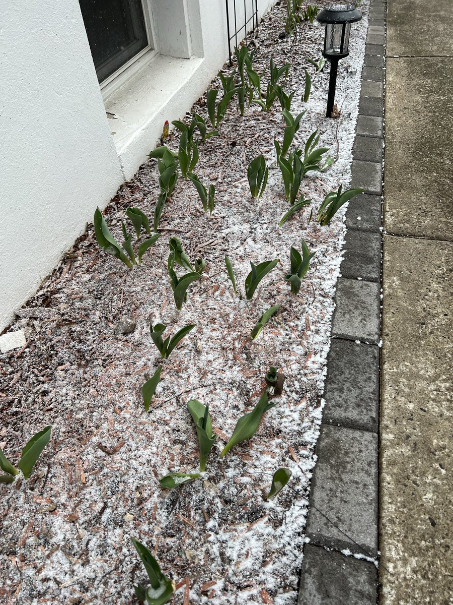 Tym Brennan tweet media