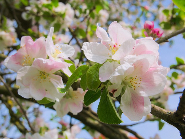 Jose Unruh tweet media