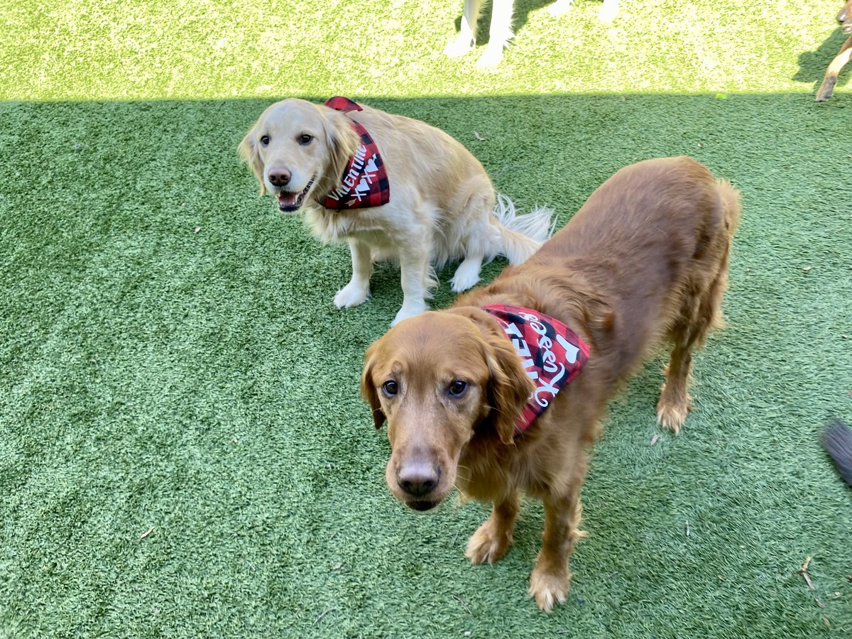 Hillary MacSwain tweet media