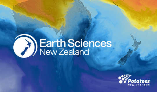 Potatoes New Zealand tweet media