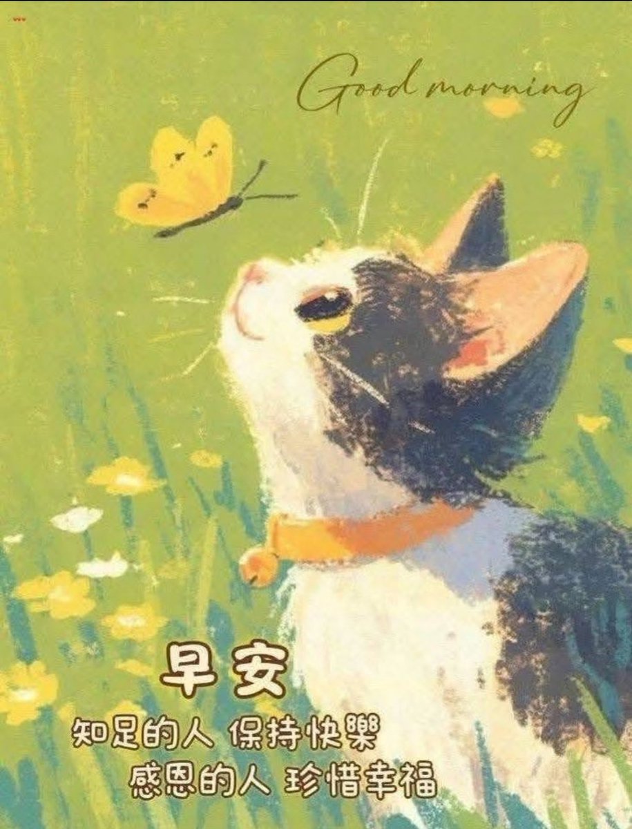 Lily（互fo） tweet media