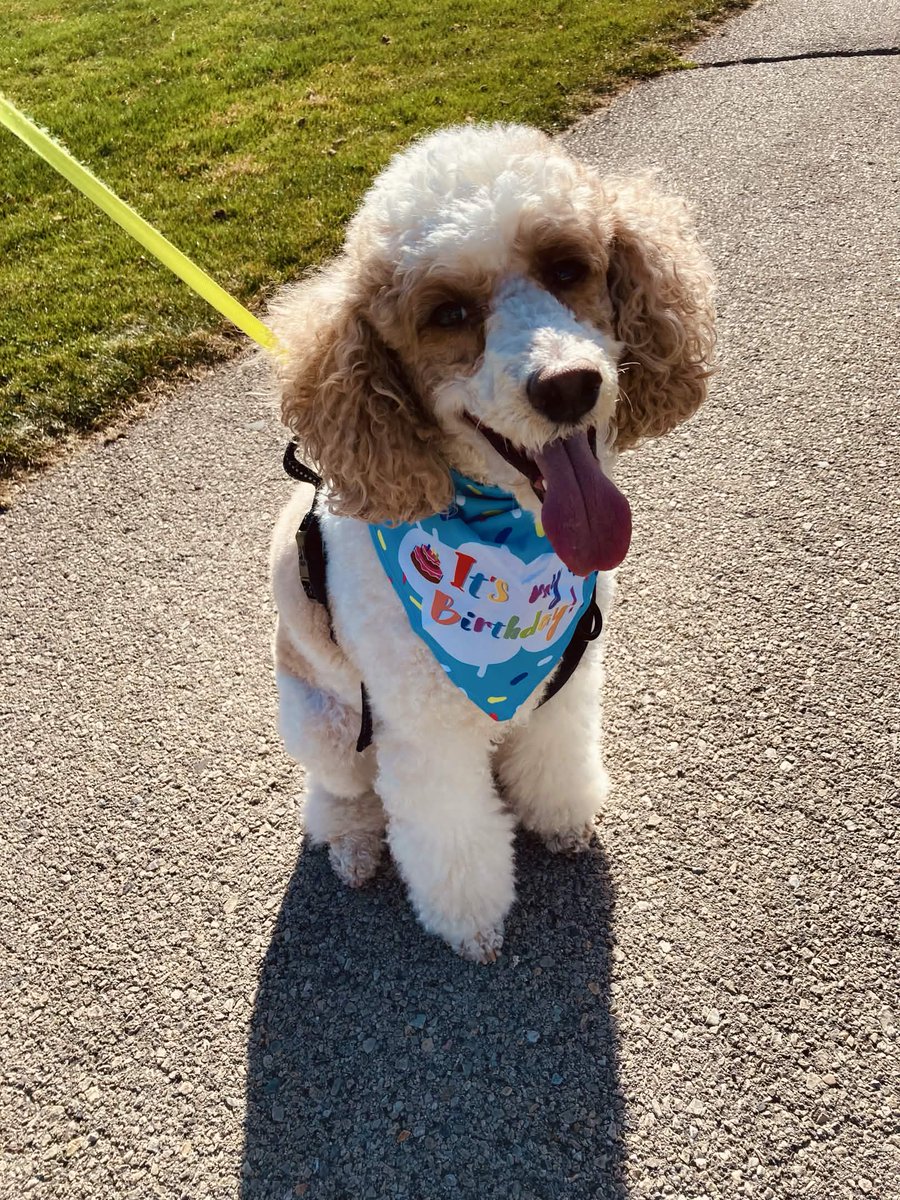 Brina Williamson🖊️ tweet media