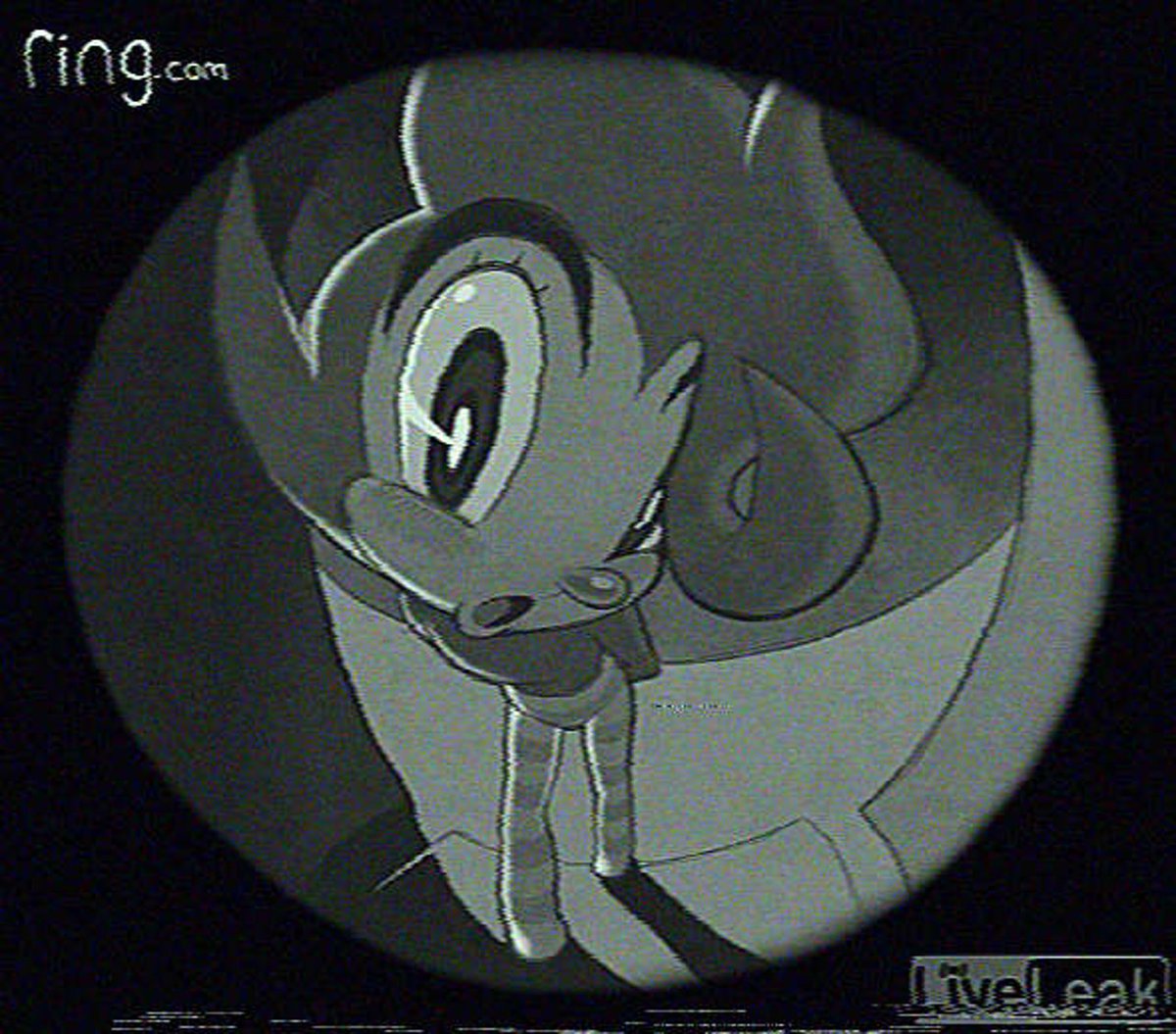 john Roachgore tweet media