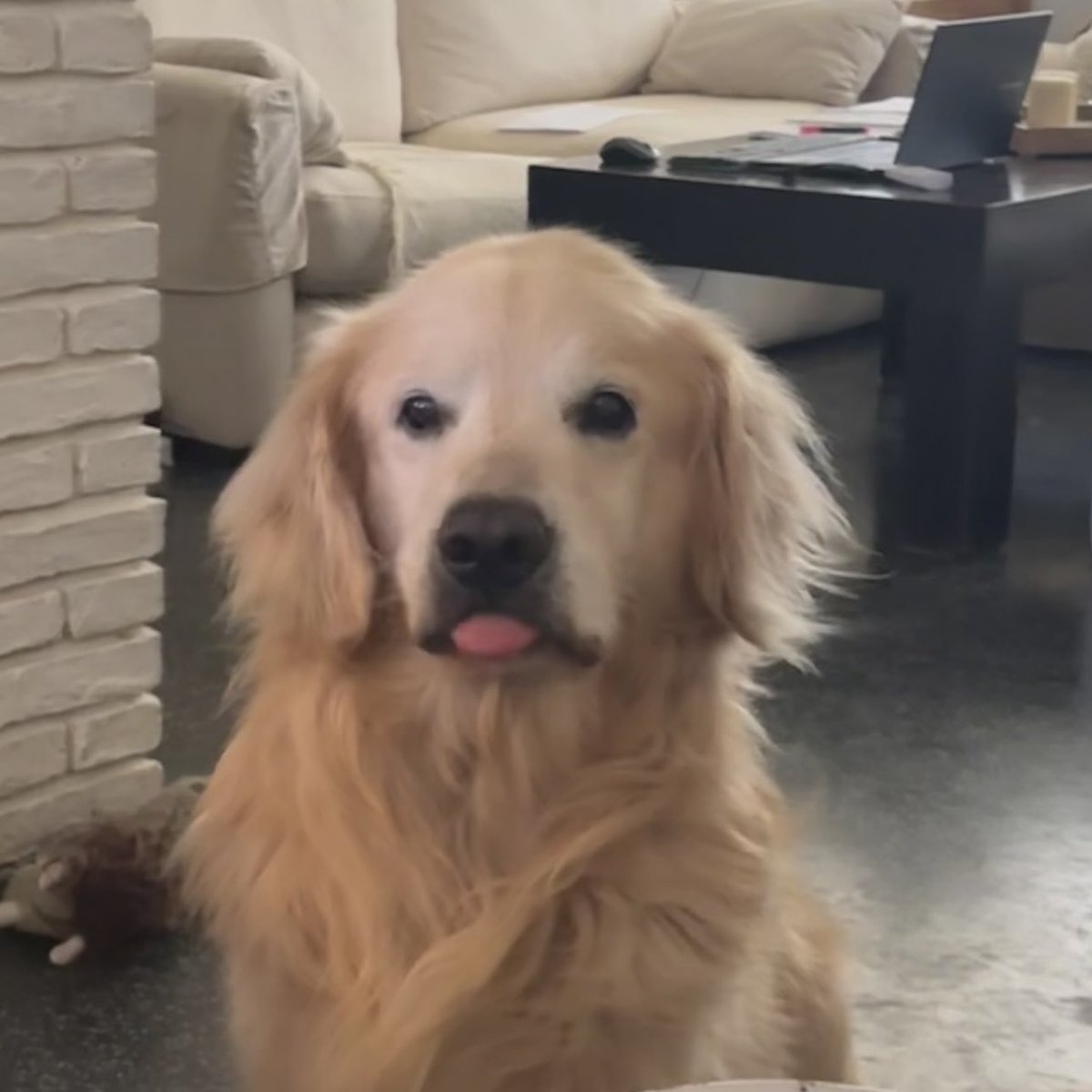 🌊 MARUU ! tweet media