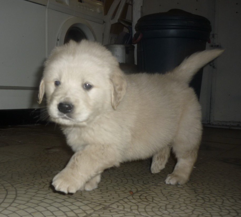 🌊 MARUU ! tweet media