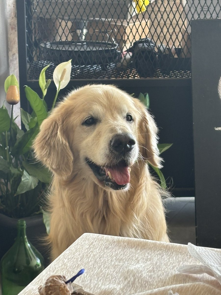 🌊 MARUU ! tweet media