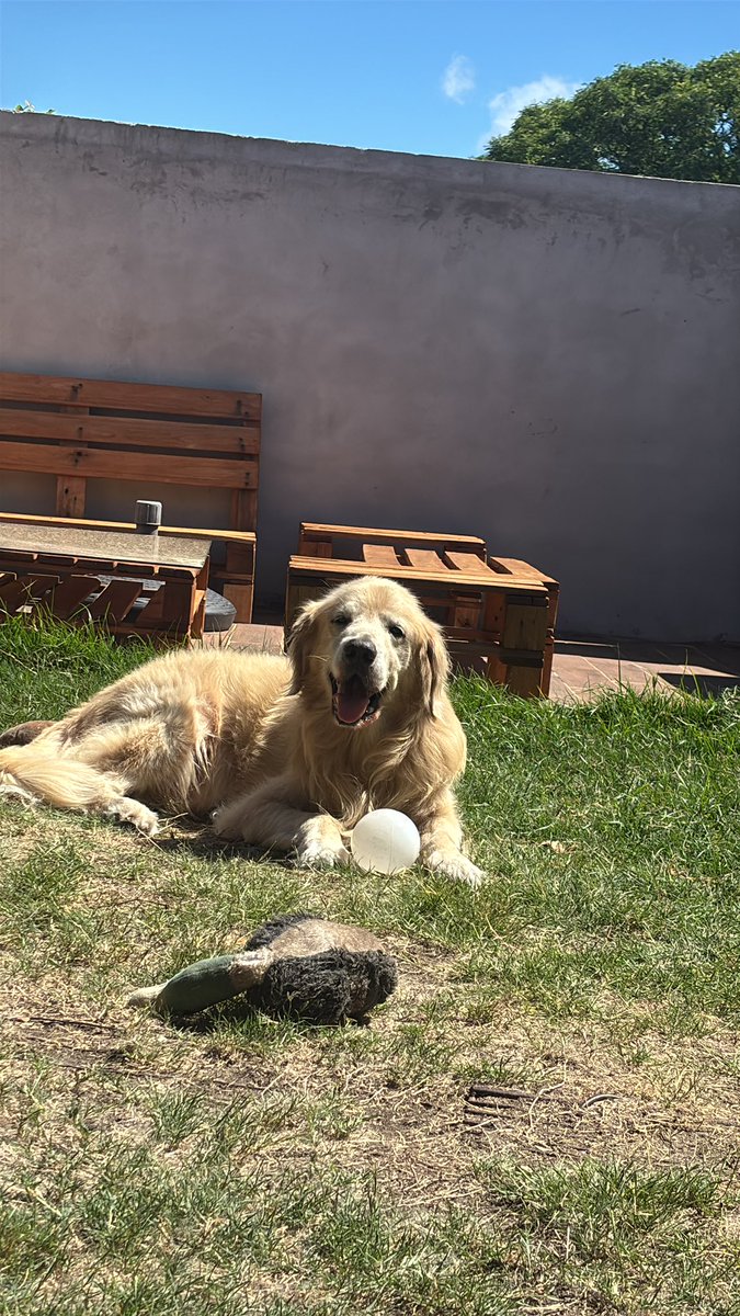 🌊 MARUU ! tweet media