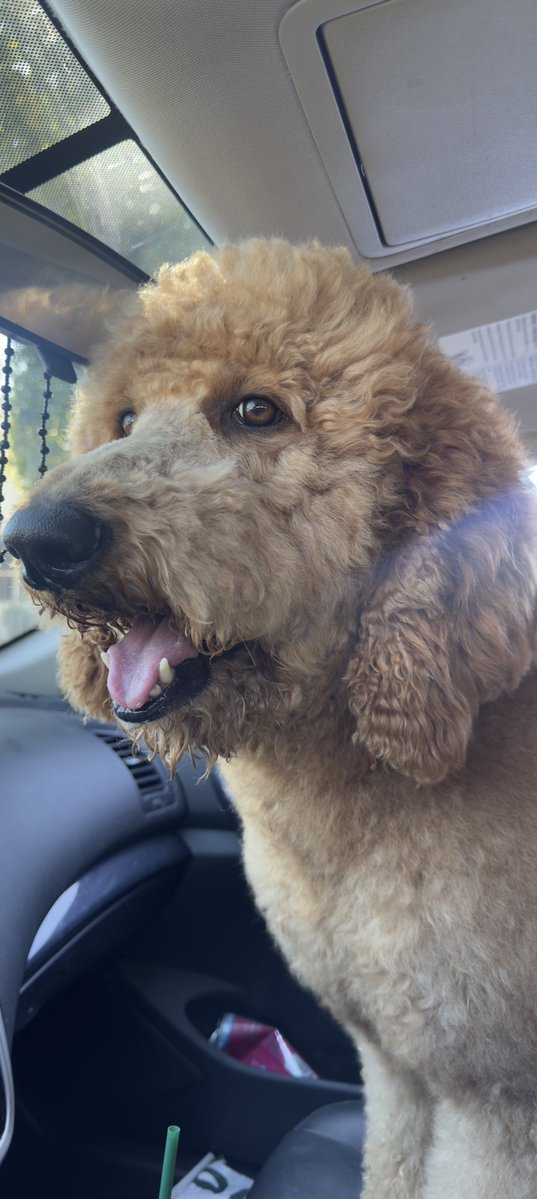 KIXNKARBS tweet media