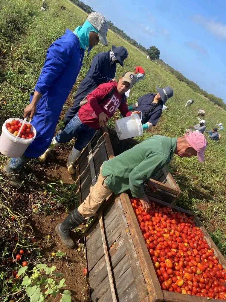 Susely Morfa González tweet media