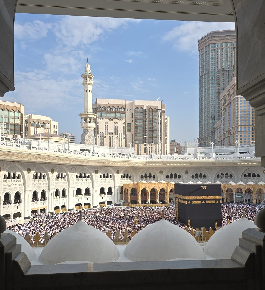 بجاد الشريف tweet media