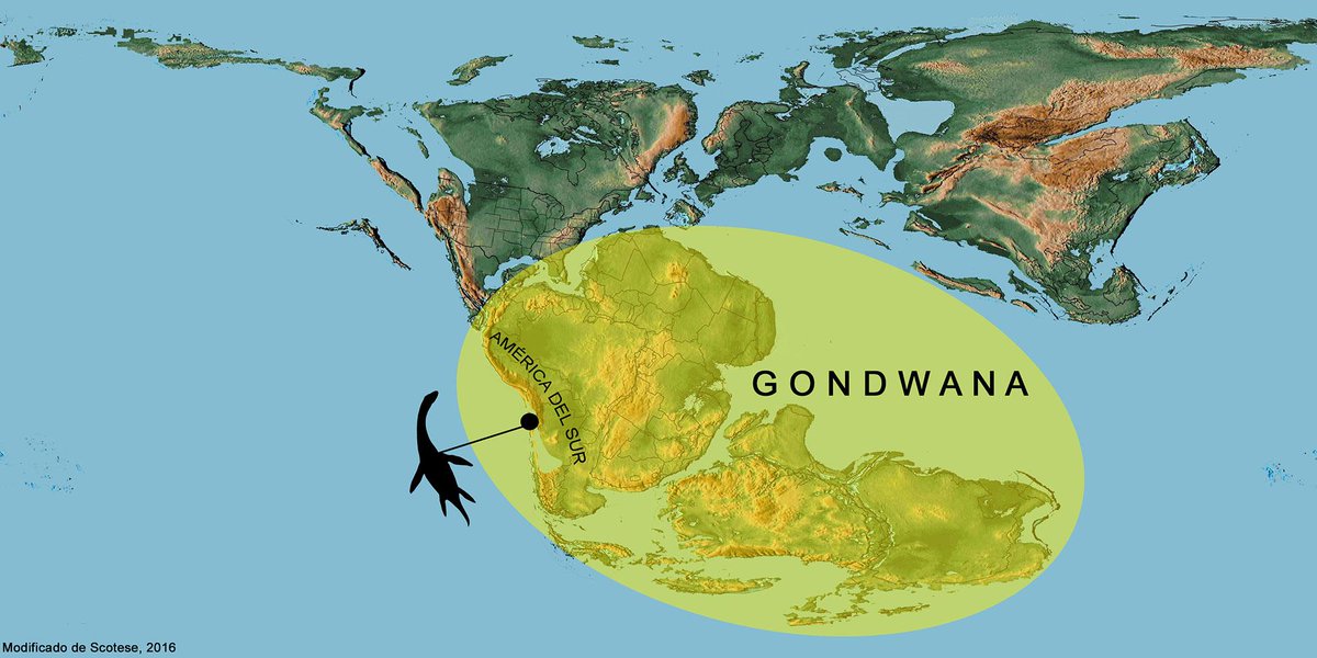 Universidad de Chile tweet media