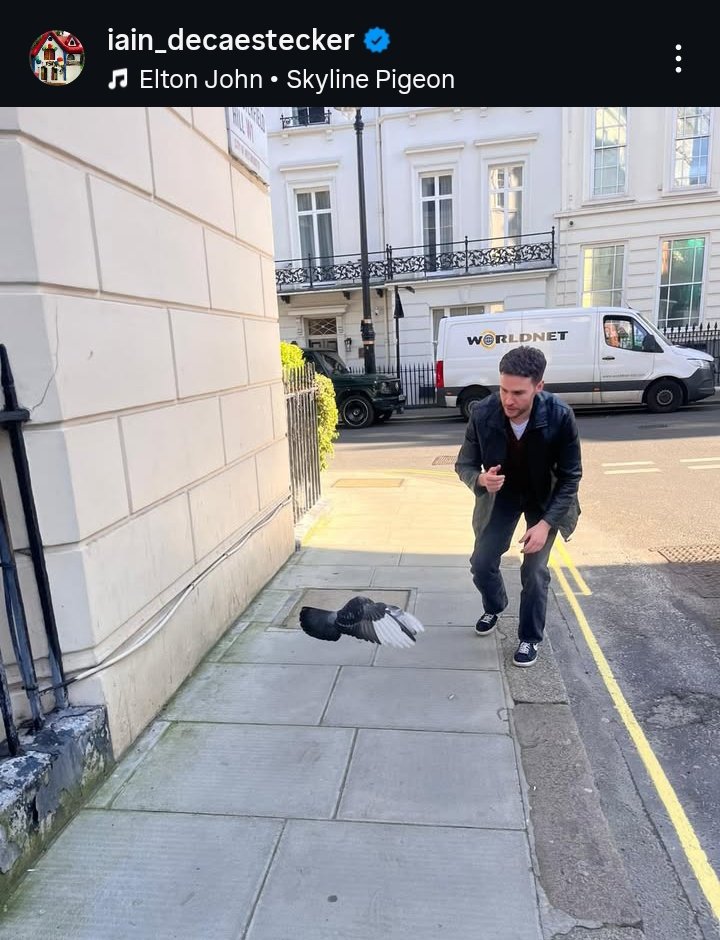 Kailey | niall's pr manager tweet media