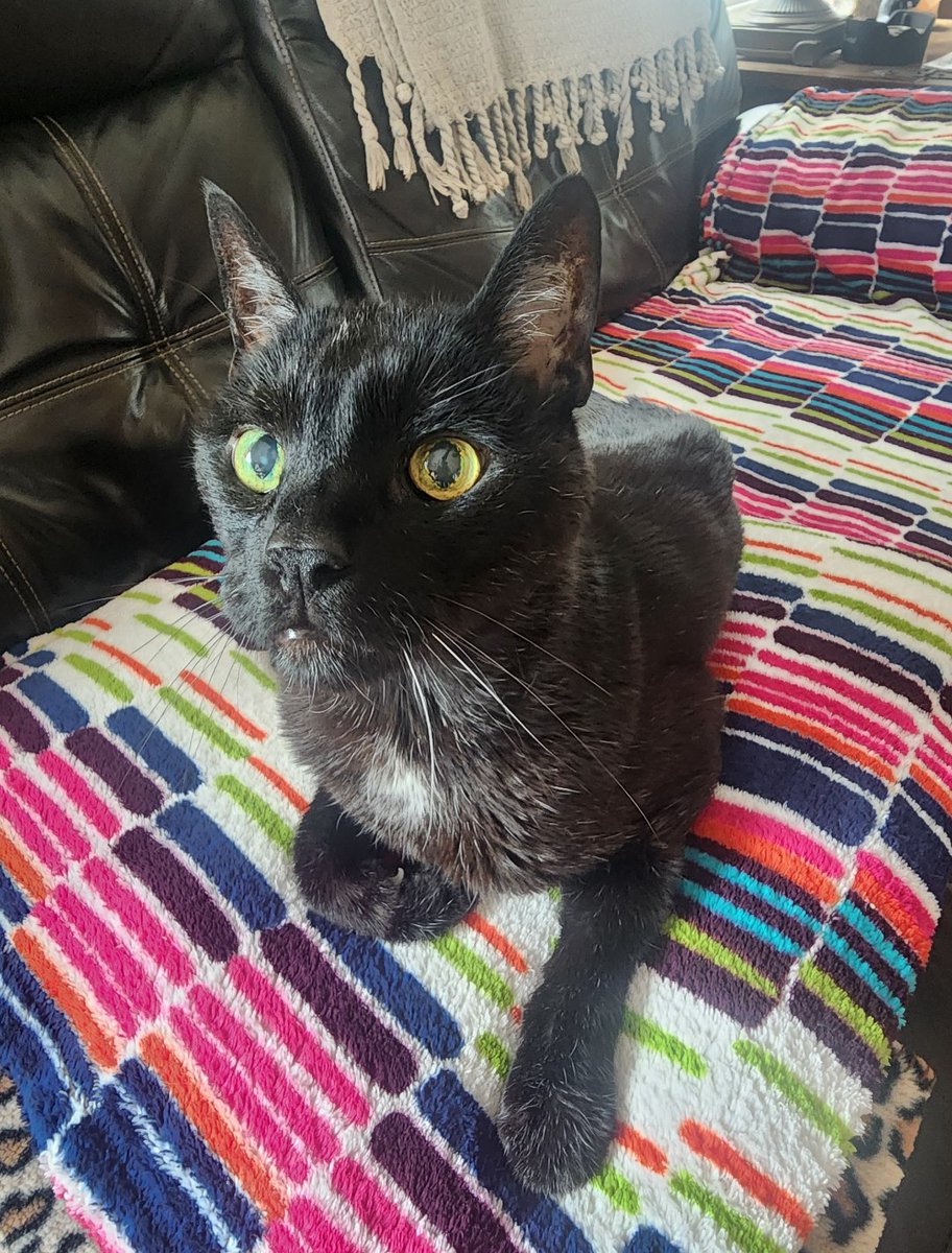 FlareSilver Vault tweet media