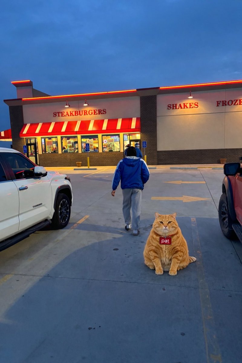 Missouri State-West Plains Grizzly Baseball tweet media