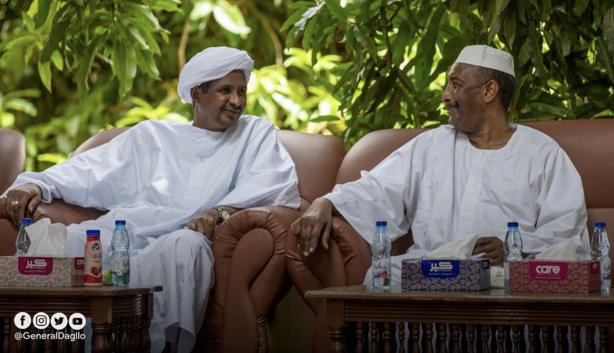 🇸🇩 tweet media