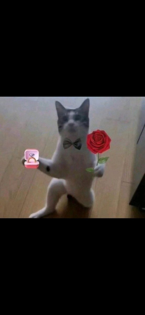 Raphael R&M tweet media