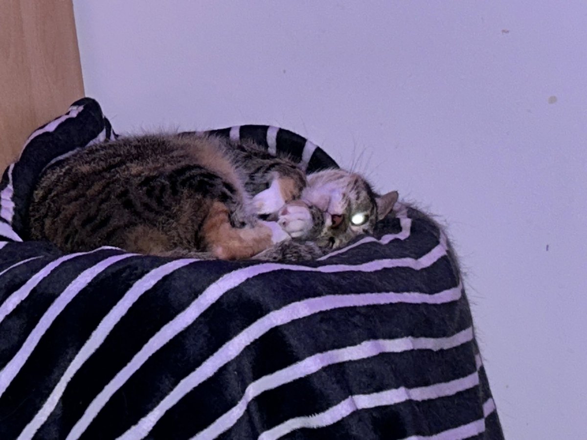 ItsSimmeRin tweet media