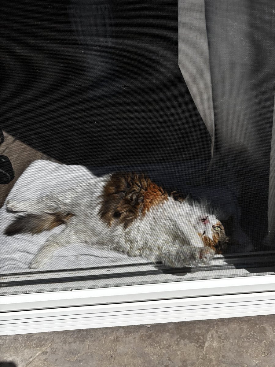 ִֶ ᶻ 𝗓 𐰁 .ᐟ tweet media