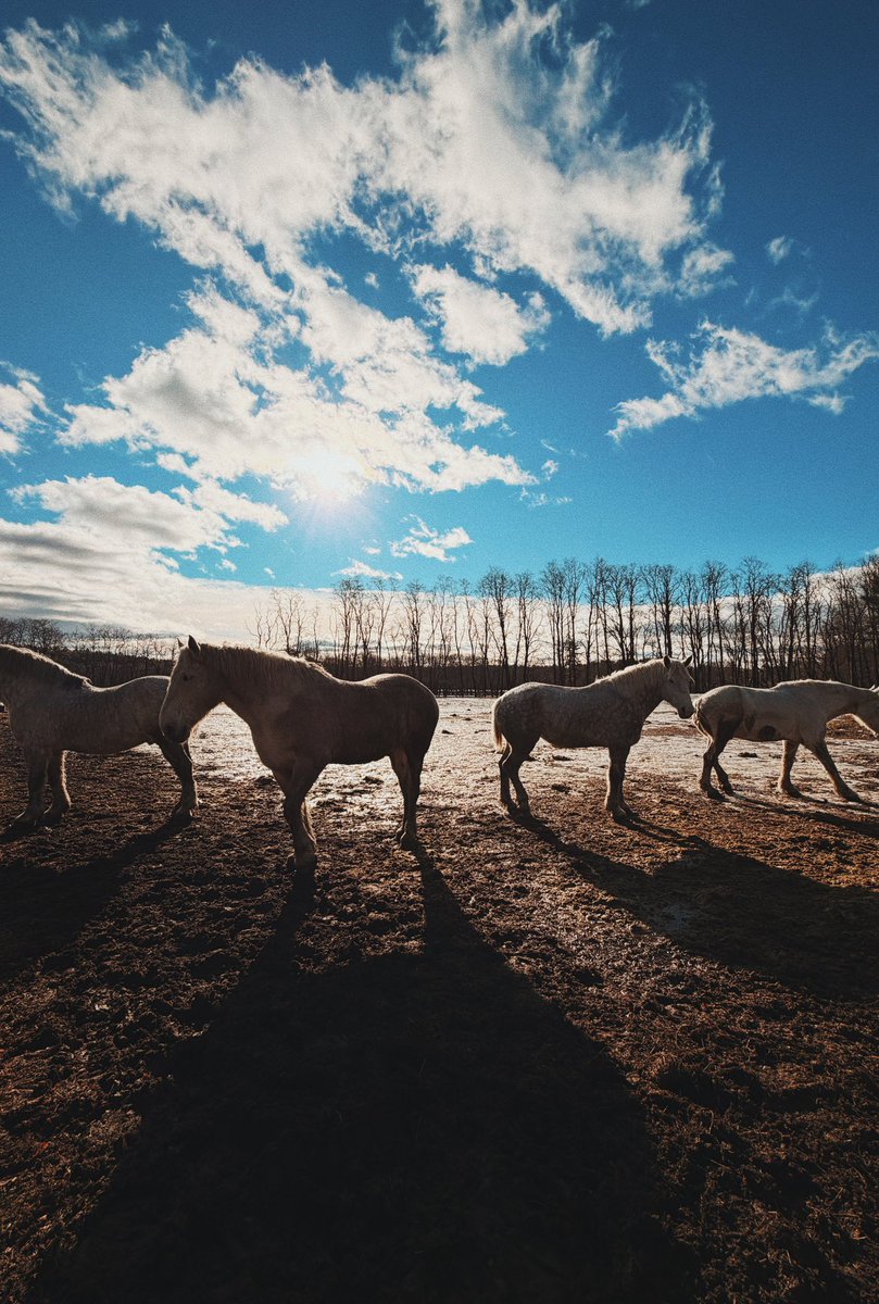 Joe Mitoshi 👨🏻🚀 tweet media