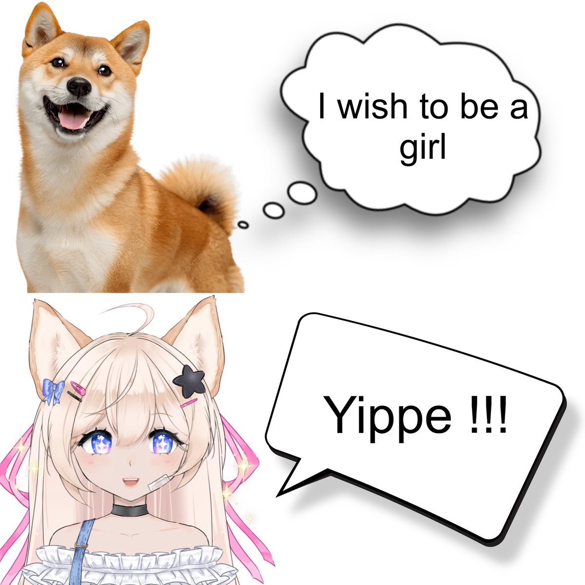 Misa 🐾🎀 tweet media