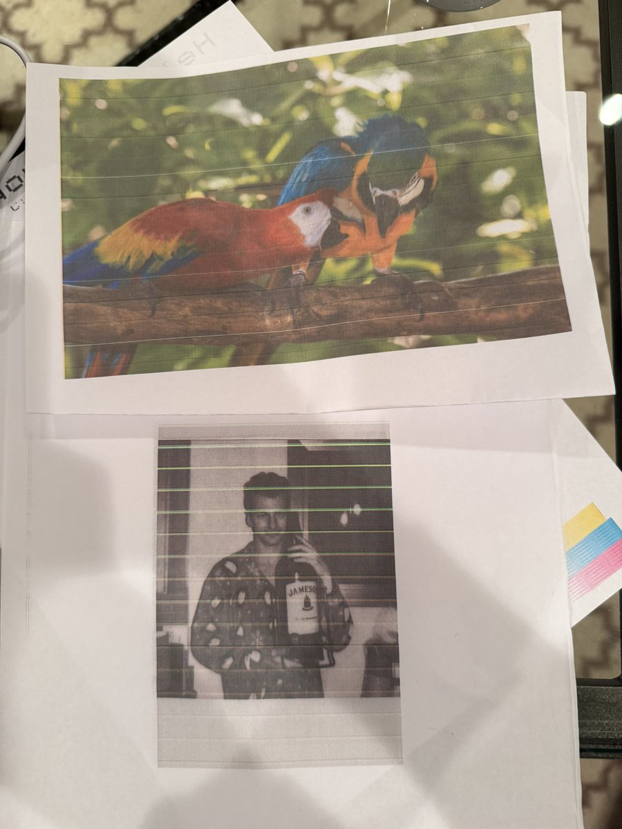 Nick Andre tweet media