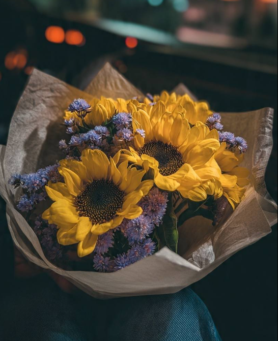 sunflowerchives's tweet photo. POV: someone made your night better 📷📷 https://t.co/wdUq5ajcPP