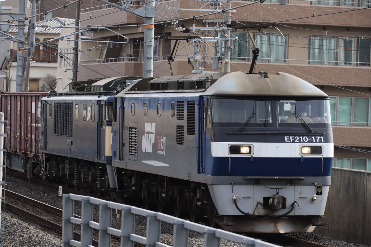 西のカモレ tweet media