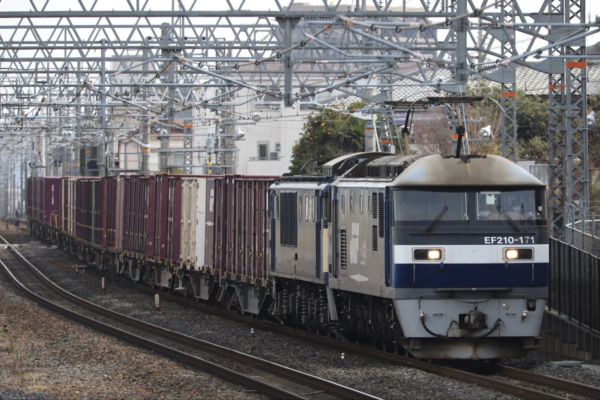 西のカモレ tweet media