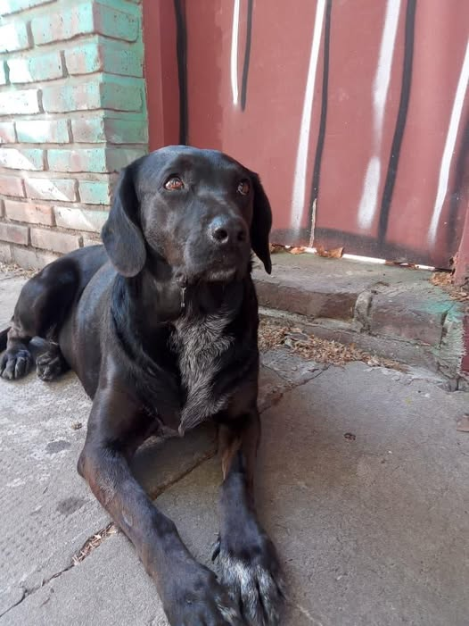 La Pato 🇦🇷 tweet media