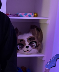 FlufStuff🔜FWA tweet media