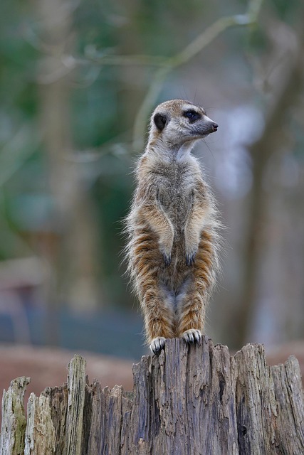 Hipolito Castillo tweet media
