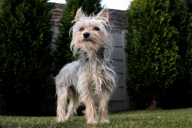 Jen Zahid tweet media