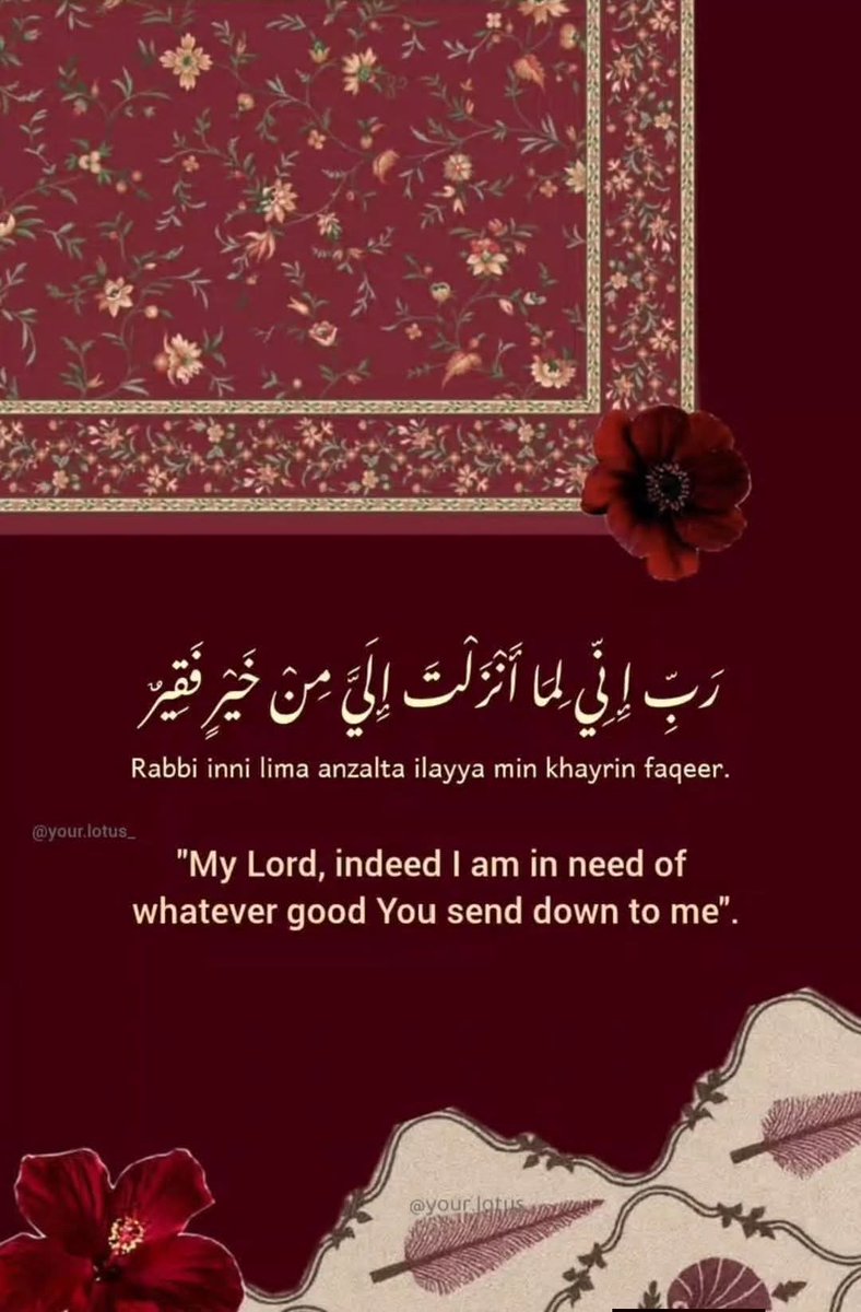 Maham Momo tweet media