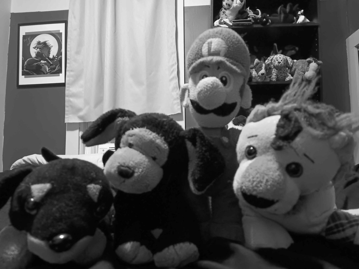 Kage Wolf 🔜LVFC2026 tweet media