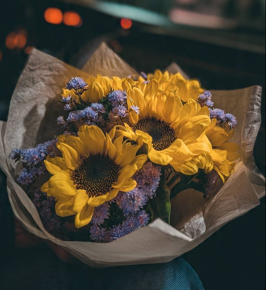 sunflowerchives's tweet photo. POV: someone made your night better 📷📷 https://t.co/wdUq5ajcPP