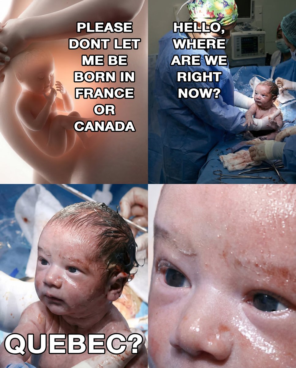 The National Roast tweet media