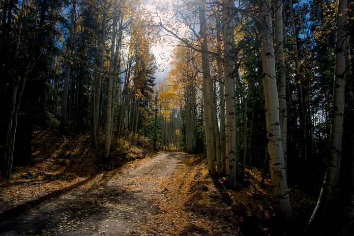 John  Bartelt tweet media