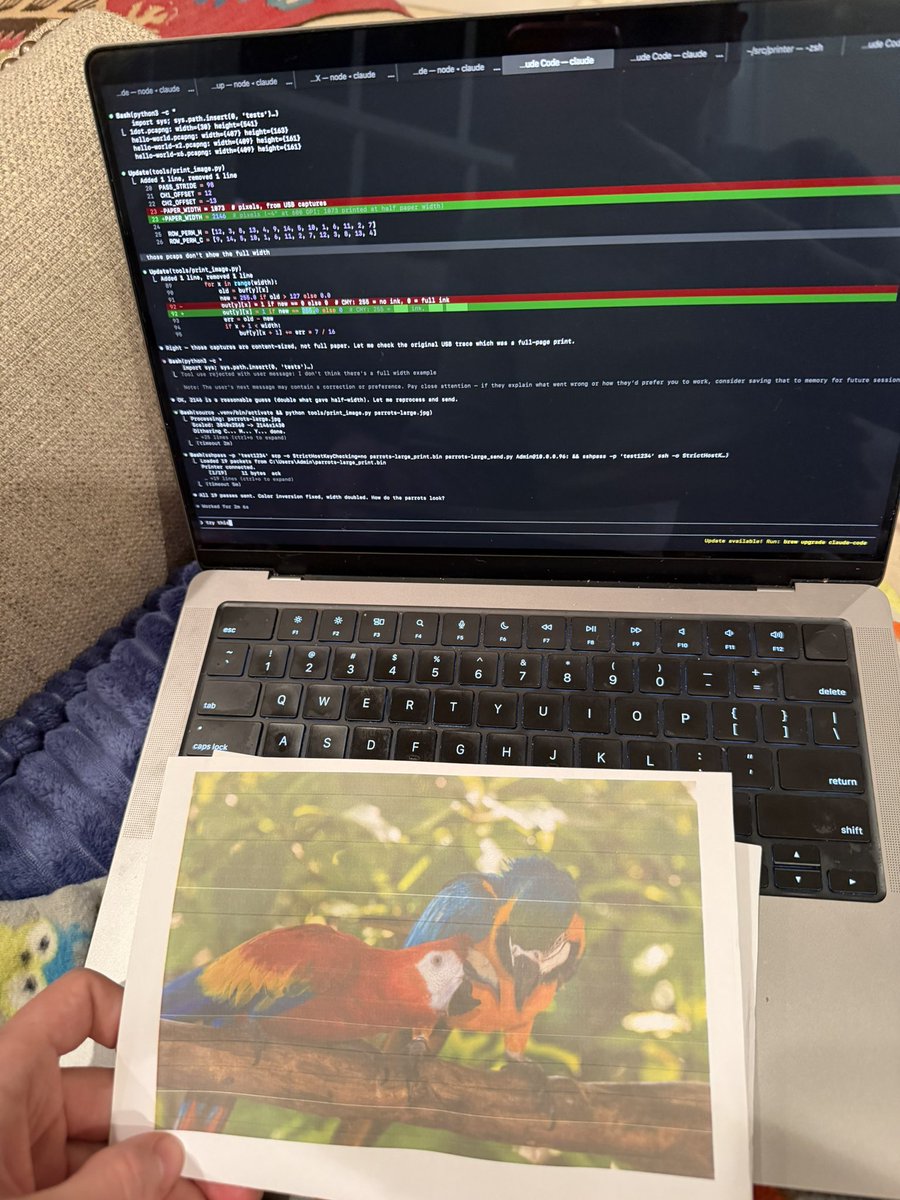 Nick Andre tweet media