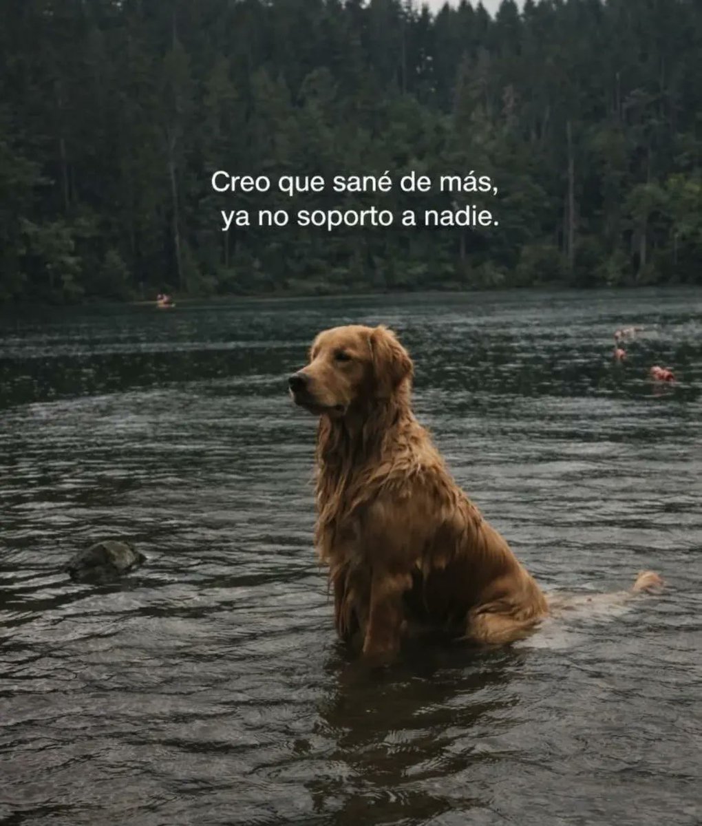 LetrasVirales🛸 (@letrasvirales) on Twitter photo 
